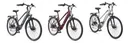 Damen Alu Trekking E-Bike, 28 Zoll, Rahmenhöhe 50 cm, 24-Gang Kettenschaltung, kreide, XC940 Expedition