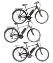 Herren Trekking E-Bike, 28 Zoll, Rahmenhöhe 50 cm, 7-Gang Kettenschaltung, Silber matt, Eifel