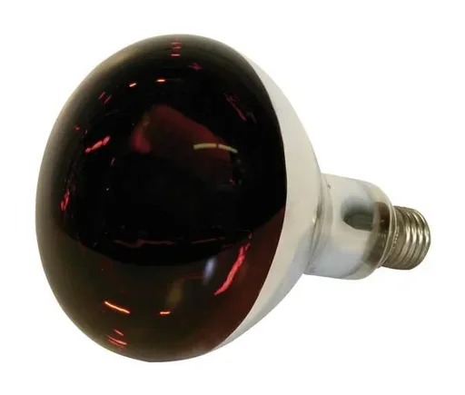 "Infrarot Hartglaslampe, 250 Watt, rot image"