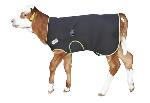 "Kälberdecke Premium schwarz, 70 cm image"