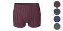 Retroshorts im 4er Pack, farblich sortiert, Gr.6