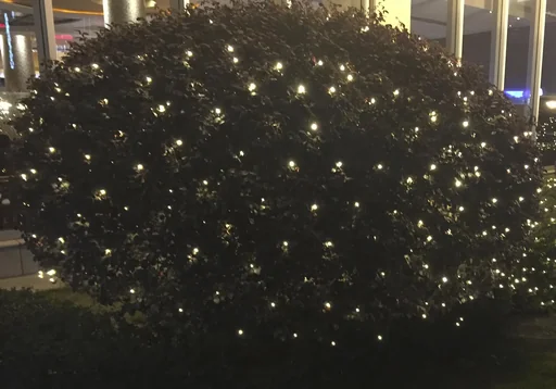 "LED Lichternetz mit 270 warmweißen LEDs, 3x3 m image"