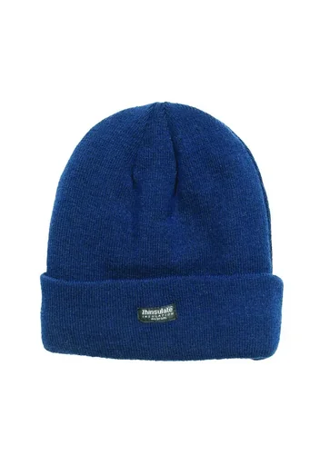 "Thinsulate Mütze, marine, hochisoliert image"