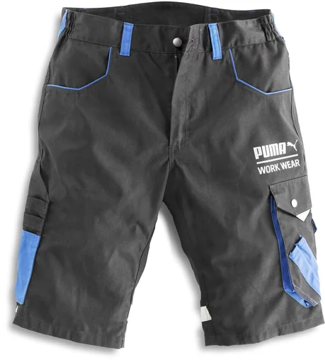 "Arbeitsshort CHAMP, Farbe carbon, Größe 56 image"