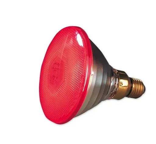 "Infrarot Sparlampe 175 W - für Wärmestrahlgeräte image"