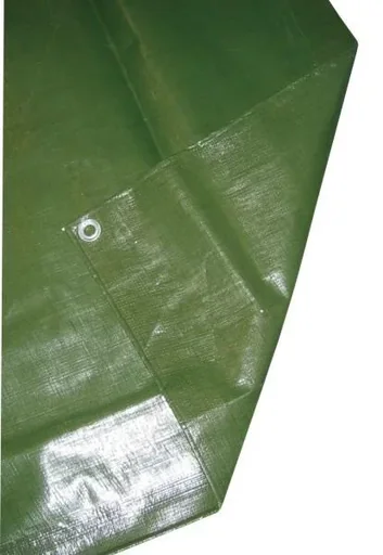 "Abdeckplane PolyGuard 4 x 6 m image"