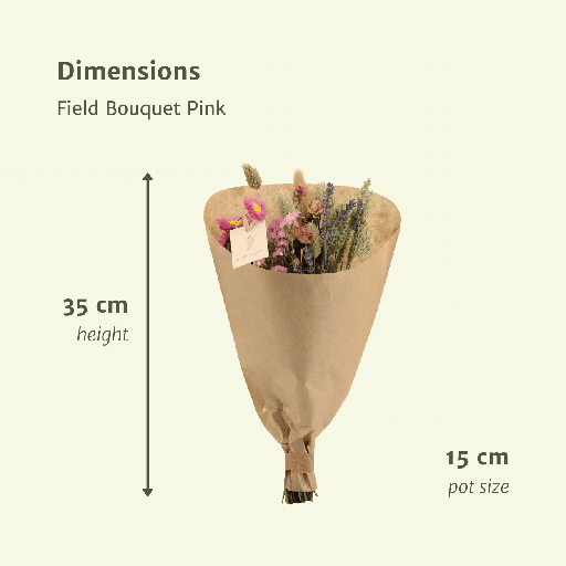 "Trockenblumen Feldblumenstrauß Rosa - Ø15cm - ↕35cm image"
