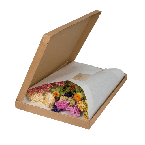 "Trockenblumen im Briefkasten  - Multi image"