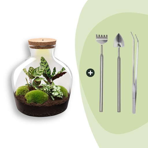 "Flaschengarten -  Fat Joe - ↕ 30 cm - Rake + Shovel + Tweezer image"