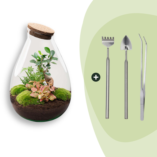 "Flaschengarten - Drop XL - ↕ 37 cm - Rake + Shovel + Tweezer image"