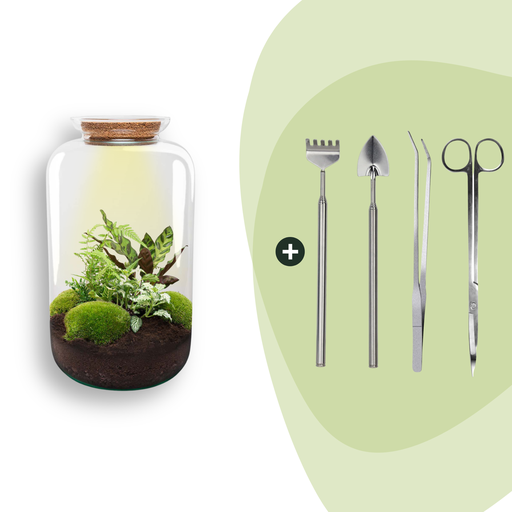 "Flaschengarten - Botanical Sven XL - ↕ 43 cm - Rake + Shovel + Tweezer + Scissors image"