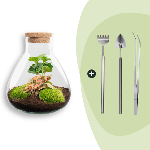 "Flaschengarten - Sammie Coffea - ↕ 26 cm - Rake + Shovel + Tweezer image"