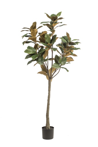 "Kunstpflanze - Magnolia Grandiflora - 150 cm image"