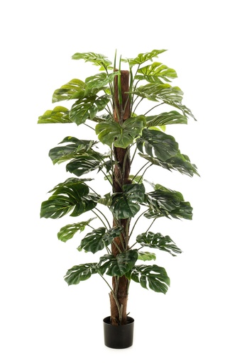 "Kunstpflanze - Monstera Deliciosa - Löcherpflanze - 150 cm image"