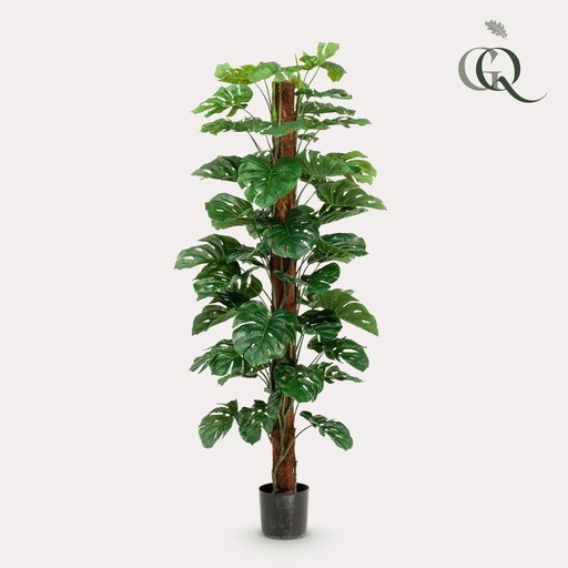 "Kunstpflanze - Monstera Deliciosa - Löcherpflanze - 180 cm image"