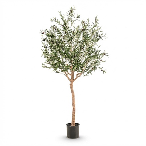 "Kunstpflanze - Olea europaea - Olivenbaum - 180 cm image"