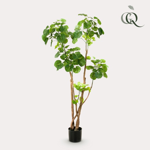 "Kunstpflanze - Polyscias - Aralia - 135 cm image"