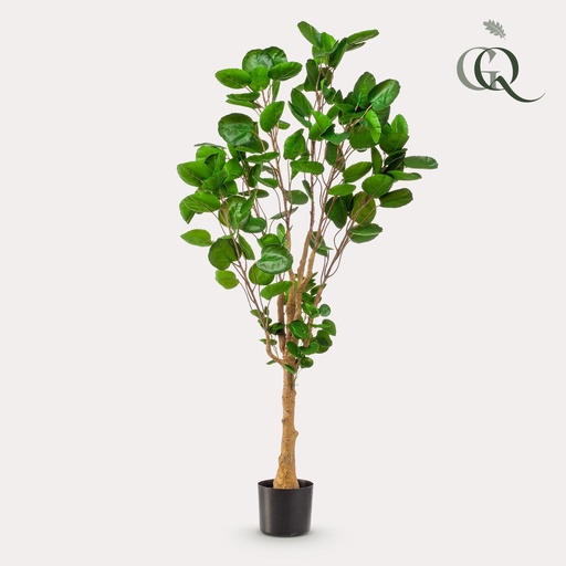"Kunstpflanze - Polyscias - Aralia - 150 cm image"