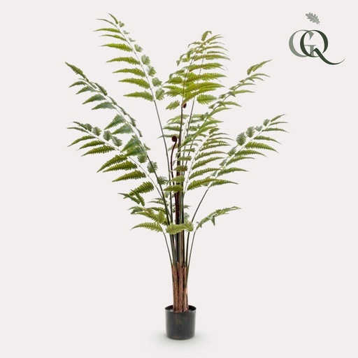 "Kunstpflanze - Rumohra Adiantiformis - Lederfarn - 150 cm image"