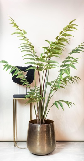 "Kunstpflanze - Rumohra Adiantiformis - Lederfarn - 180 cm image"