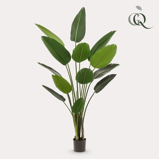 "Kunstpflanze - Strelitzia Nicolai - Paradiesvogelblume - 190 cm image"