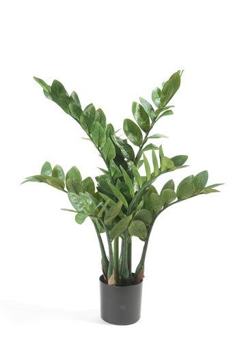 "Kunstpflanze - Zamioculcas - Zimerpalme - 70 cm image"
