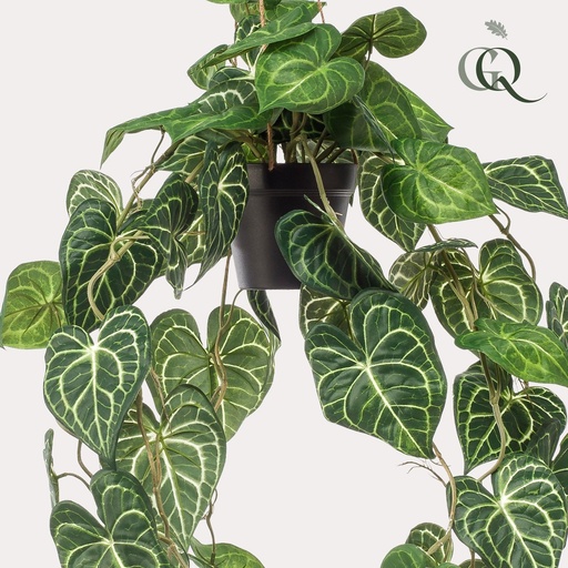 "Kunstpflanze - Anthurium Clarinervium - 80 cm image"