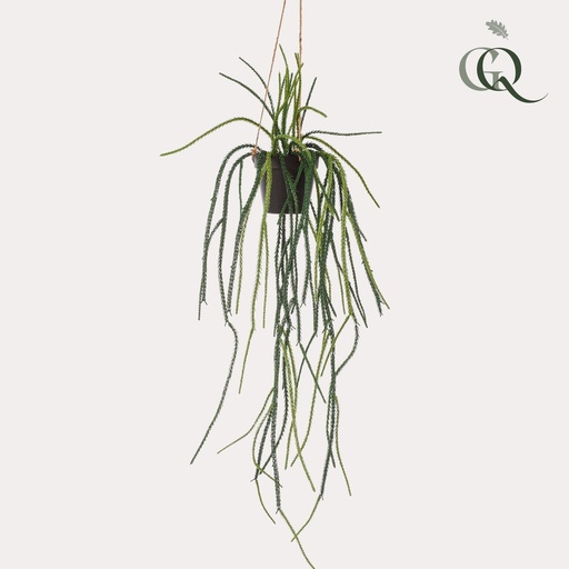 "Kunstpflanze - Rhipsalis - Korallenkaktus - 85 cm image"