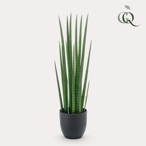 "Kunstpflanze - Sansevieria Cylindrica - Frauenzunge - 70 cm image"