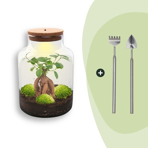 "Flaschengarten - Milky mit bonsai - ↕ 30 cm - Rake + Shovel image"