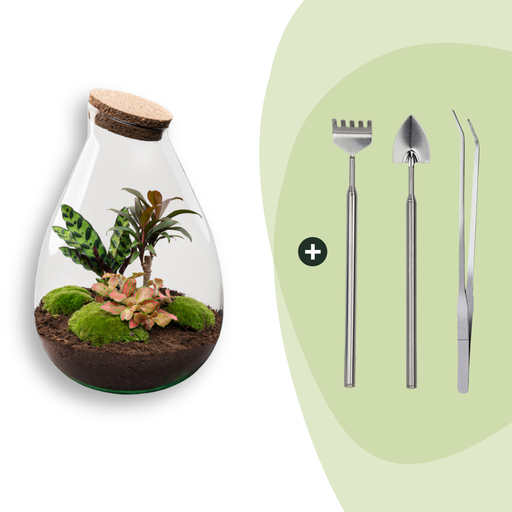 "Flaschengarten - Drop XL Rot - ↕ 37 cm - Rake + Shovel + Tweezer image"