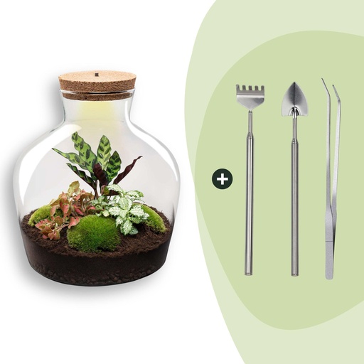 "Flaschengarten - Fat Joe Rot - ↕ 30 cm - Rake + Shovel + Tweezer image"
