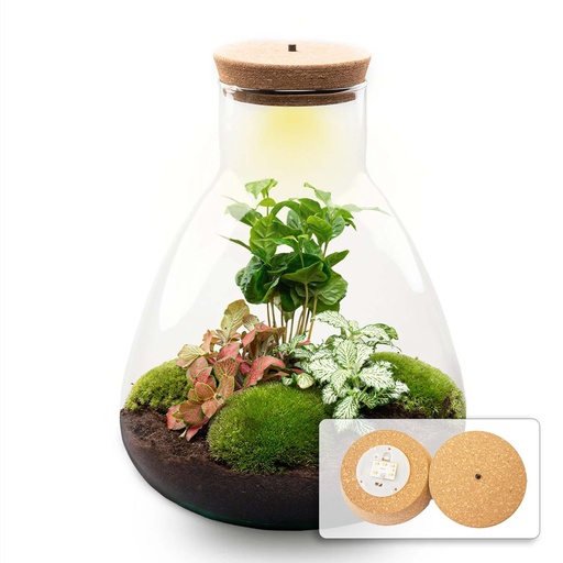 "Flaschengarten - Sam mit Lampe - ↕ 30 cm - Normal image"