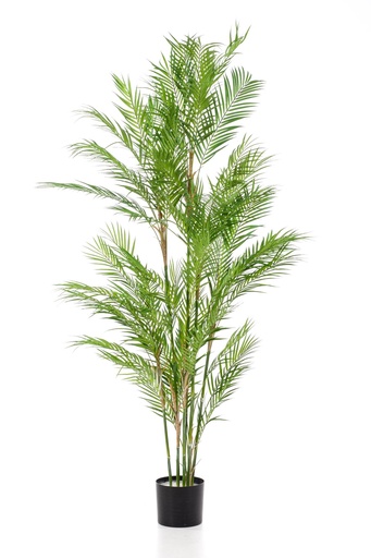 "Kunstpflanze - Chamaedorea Elegans - Bergpalme - 180 cm image"