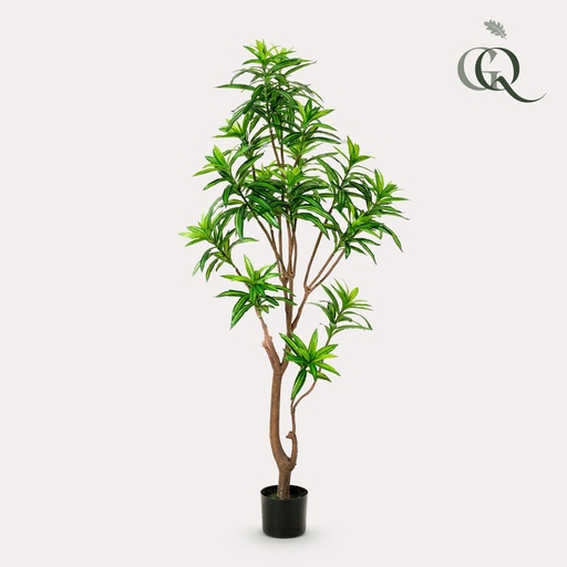"Kunstpflanze - Dracaena - Drachenbaum - 155 cm image"