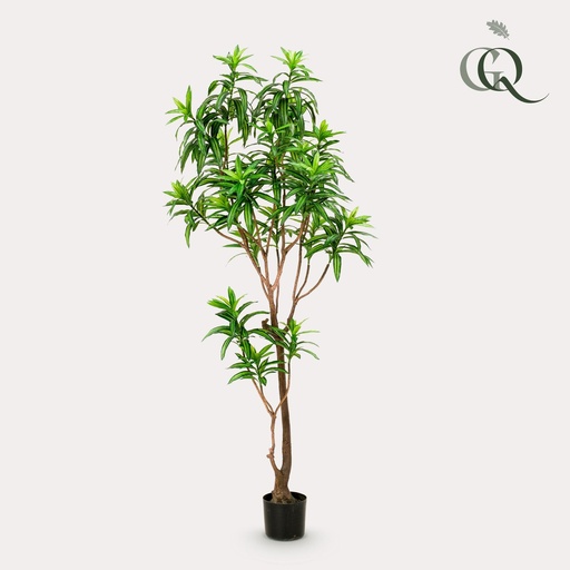 "Kunstpflanze - Dracaena - Drachenbaum - 190 cm image"