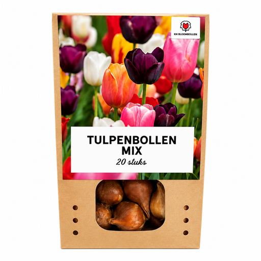 "Tulpenzwiebeln Mix - 20 Stück - Winterhart - Maat 11/12 image"