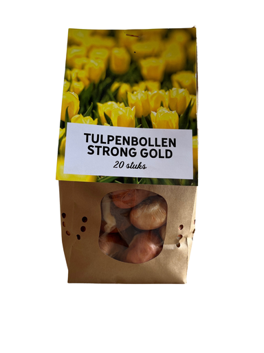 "Tulpenzwiebeln Strong Gold – 20 Stück | KH Bloembollen® | Gelbe Tulpe – Strahlend & Kräftig – Für Garten oder Topf – Größe 11/12 – Frisch vom Züchter image"