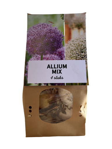 "Allium Mix Zwiebeln 4 Stück image"