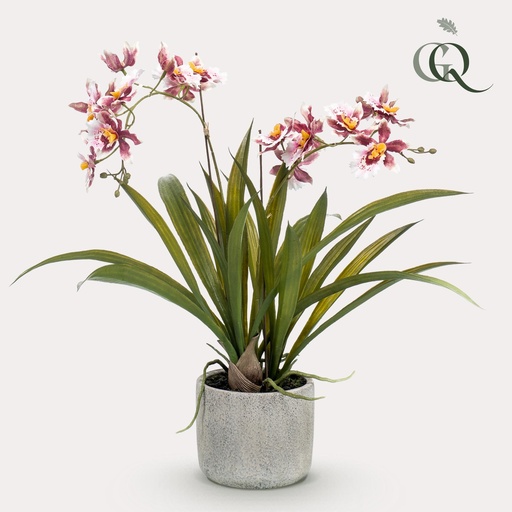 "Kunstpflanze - Orchidee - Bordeaux - 45cm image"