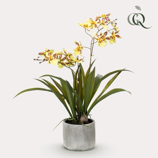 "Kunstpflanze - Orchidee - Gelb - 45cm image"