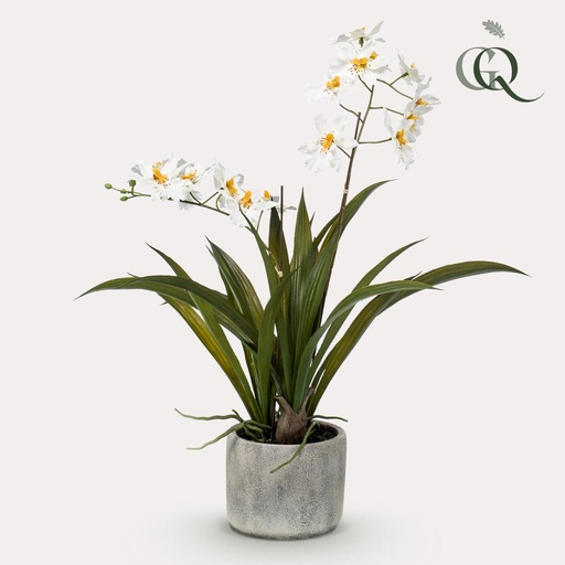 "Kunstpflanze - Orchidee - Weiß - 45cm image"