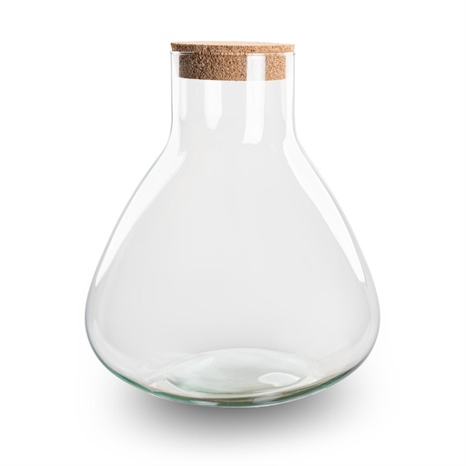 "Flaschengarten - Terrarium - Modell: Sammie - ↑ 26,5 cm image"