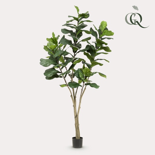 "Kunstpflanze - Ficus Lyrata - Tabakspflanze - 210cm image"