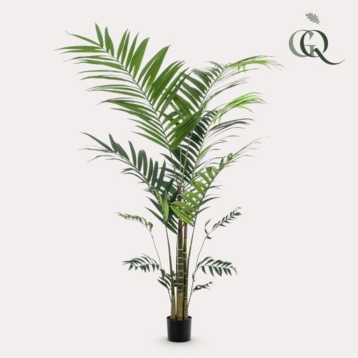 "Kunstpflanze - Kentia - Kentiapalme - 210cm image"