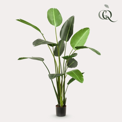"Kunstpflanze - Strelitzia Nicolai - Paradiesvogelblume - 230cm image"