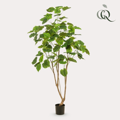 "Kunstpflanze - Ficus umbellate - Afrikanische Feige - 180cm image"