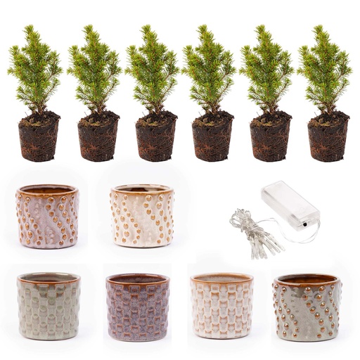 "Mini-Weihnachtsbaum Set 6 - Inklusive Topf Set Madrid + 20 LED Lights image"