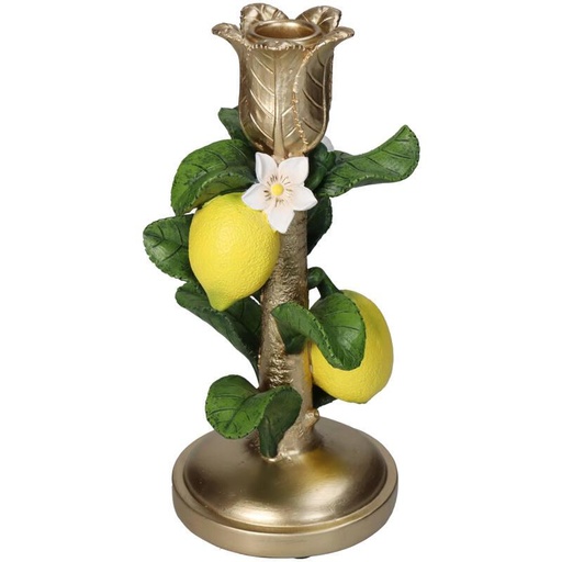 "Kerzenhalter mit Zitronenpflanze - ↑ 22 cm image"