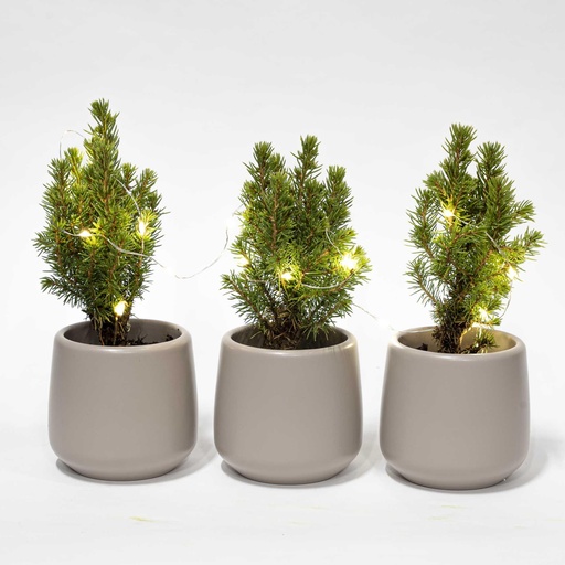 "Mini Weihnachtsbaum Set 3 - Inklusive 3x Topf Joey grau + 20 led lights image"